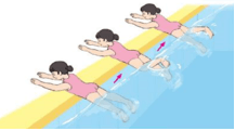 Giáo án Giáo dục thể chất lớp 3 Kết nối tri thức Bài 3: Đập chân trong nước