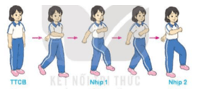Giáo án Giáo dục thể chất lớp 3 Kết nối tri thức Bài 4: Động tác đi đều, đứng lại