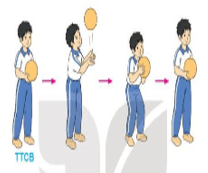 Giáo án Giáo dục thể chất lớp 3 Kết nối tri thức Bài 5: Bài tập di chuyển tung - bắt bóng bằng hai tay