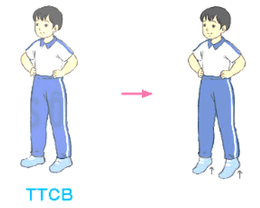 Giáo án Giáo dục thể chất lớp 4 Kết nối tri thức Bài 1: Bài tập rèn luyện kĩ năng thăng bằng Kết nối tri thức