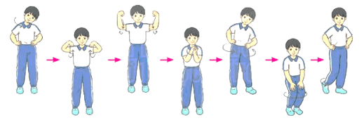 Giáo án Giáo dục thể chất lớp 4 Kết nối tri thức Bài 2: Động tác lườn, động tác lưng - bụng, động tác toàn thân với vòng Kết nối tri thức