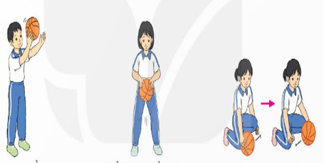 Giáo án Giáo dục thể chất lớp 4 Kết nối tri thức Bài 2: Động tác tại chỗ dẫn bóng thep hình chữ V, dẫn bóng vượt chướng ngại vật Kết nối tri thức