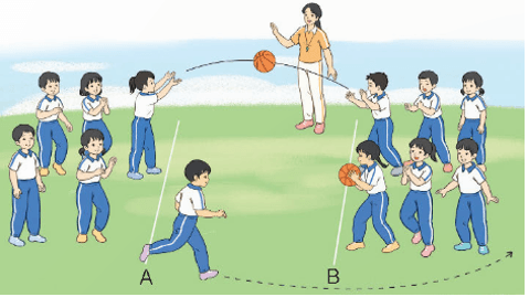 Giáo án Giáo dục thể chất lớp 4 Kết nối tri thức Bài 3: Động tác chuyền, bắt bóng bật đất bằng hai tay trước ngực Kết nối tri thức