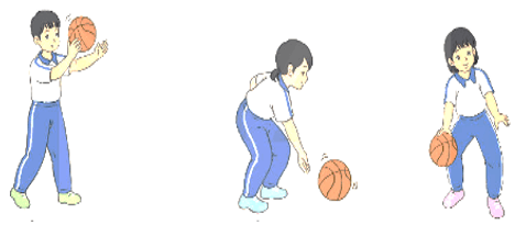 Giáo án Giáo dục thể chất lớp 4 Kết nối tri thức Bài 4: Động tác ném rổ bằng một tay trên vai Kết nối tri thức