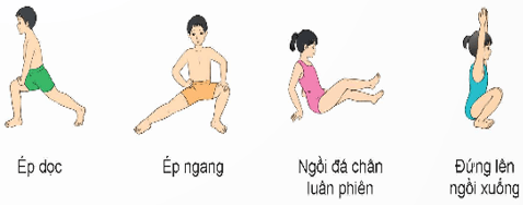 Giáo án Giáo dục thể chất lớp 5 Kết nối tri thức Bài 1: Động tác chân kiểu bơi trườn sấp 