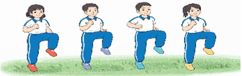 Giáo án Giáo dục thể chất lớp 5 Kết nối tri thức Bài 1: Động tác vươn thở, động tác tay, động tác chân với gậy 