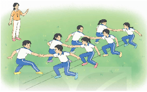 Giáo án Giáo dục thể chất lớp 5 Kết nối tri thức Bài 1: Động tác vươn thở, động tác tay, động tác chân với gậy 