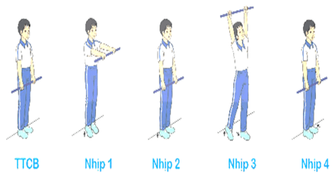 Giáo án Giáo dục thể chất lớp 5 Kết nối tri thức Bài 1: Động tác vươn thở, động tác tay, động tác chân với gậy 