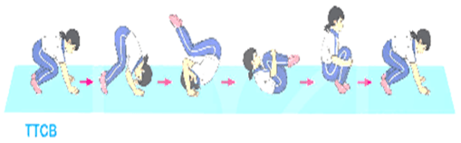 Giáo án Giáo dục thể chất lớp 5 Kết nối tri thức Bài 2: Bài tập rèn luyện kĩ năng lộn xuôi 