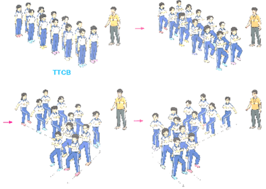 Giáo án Giáo dục thể chất lớp 5 Kết nối tri thức Bài 3: Bài tập phối hợp đi đều vòng các hướng 