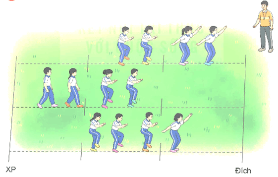 Giáo án Giáo dục thể chất lớp 5 Kết nối tri thức Bài 3: Bài tập rèn luyện kĩ năng leo 