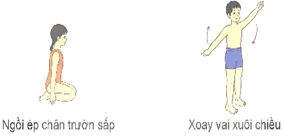 Giáo án Giáo dục thể chất lớp 5 Kết nối tri thức Bài 3: Động tác phối hợp trong bơi trườn sấp 