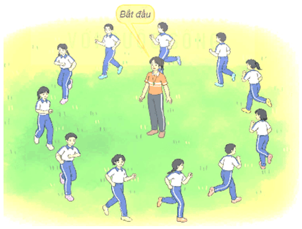 Giáo án Giáo dục thể chất lớp 5 Kết nối tri thức Bài 4: Bài tập rèn luyện kĩ năng trèo 