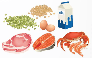 Giáo án Giáo dục thể chất lớp 5 Kết nối tri thức Chế độ ăn uống đảm bảo dinh dưỡng trong tập luyện 