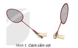 Giáo án GDTC 6 Kết nối tri thức Bài 1: Bài tập bổ trợ và di chuyển đơn bước