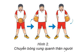Giáo án GDTC 6 Kết nối tri thức Bài 1: Bài tập bổ trợ với bóng và kĩ thuật di chuyển