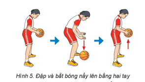 Giáo án GDTC 6 Kết nối tri thức Bài 1: Bài tập bổ trợ với bóng và kĩ thuật di chuyển