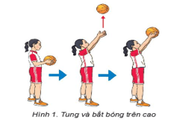 Giáo án GDTC 6 Kết nối tri thức Bài 1: Bài tập bổ trợ với bóng và kĩ thuật di chuyển