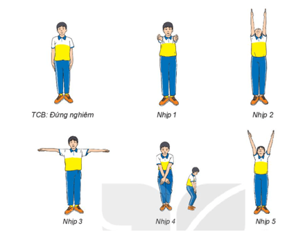 Giáo án GDTC 6 Kết nối tri thức Bài 1: Bài thể dục liên hoàn (từ nhịp 1 đến nhịp 11)