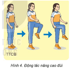 Giáo án GDTC 6 Kết nối tri thức Bài 1: Các động tác bổ trợ chạy cự li ngắn