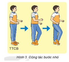 Giáo án GDTC 6 Kết nối tri thức Bài 1: Các động tác bổ trợ chạy cự li ngắn