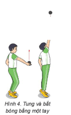 Giáo án GDTC 6 Kết nối tri thức Bài 1: Các động tác bổ trợ kĩ thuật ném bóng