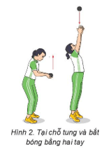 Giáo án GDTC 6 Kết nối tri thức Bài 1: Các động tác bổ trợ kĩ thuật ném bóng