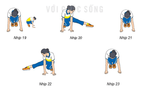 Giáo án GDTC 6 Kết nối tri thức Bài 2: Bài thể dục liên hoàn (từ nhịp 12 đến nhịp 23)