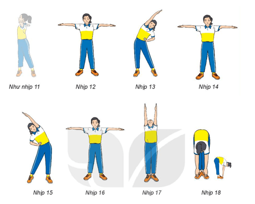 Giáo án GDTC 6 Kết nối tri thức Bài 2: Bài thể dục liên hoàn (từ nhịp 12 đến nhịp 23)
