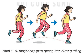 Giáo án GDTC 6 Kết nối tri thức Bài 2: Chạy giữa quãng trên đường thẳng, đường vòng