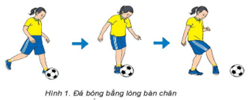 Giáo án GDTC 6 Kết nối tri thức Bài 2: Kĩ thuật đá bóng bằng lòng bàn chân