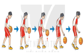 Giáo án GDTC 6 Kết nối tri thức Bài 2: Kĩ thuật dẫn bóng