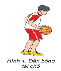 Giáo án GDTC 6 Kết nối tri thức Bài 2: Kĩ thuật dẫn bóng