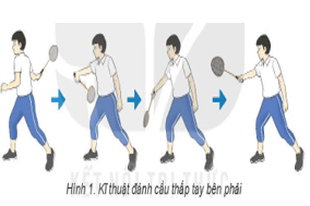 Giáo án GDTC 6 Kết nối tri thức Bài 2: Kĩ thuật đánh cầu thấp tay bên phải, bên trái