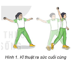 Giáo án GDTC 6 Kết nối tri thức Bài 2: Ra sức cuối cùng và giữ thăng bằng
