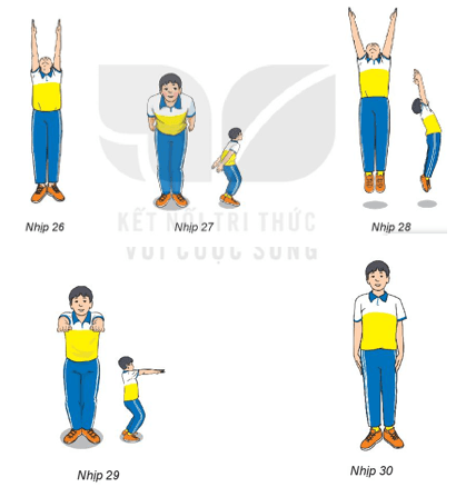 Giáo án GDTC 6 Kết nối tri thức Bài 3: Bài thể dục liên hoàn (từ nhịp 24 đến nhịp 30)