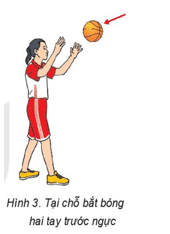Giáo án GDTC 6 Kết nối tri thức Bài 3: Kĩ thuật chuyền và bắt bóng hai tay trước ngực