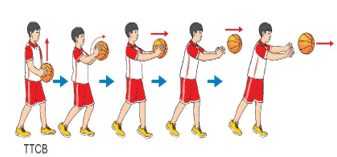 Giáo án GDTC 6 Kết nối tri thức Bài 3: Kĩ thuật chuyền và bắt bóng hai tay trước ngực