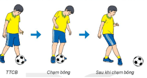 Giáo án GDTC 6 Kết nối tri thức Bài 4: Kĩ thuật dẫn bóng bằng lòng bàn chân