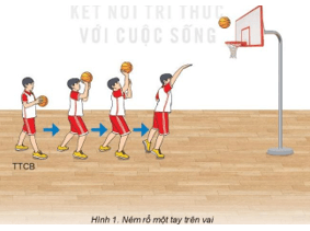 Giáo án GDTC 6 Kết nối tri thức Bài 4: Kĩ thuật tại chỗ ném rổ một tay trên vai