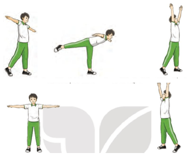 Giáo án GDTC 7 Kết nối tri thức Bài 1: Bài thể dục liên hoàn (từ nhịp 1 đến nhịp 10)