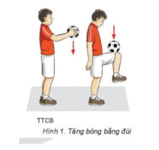 Giáo án GDTC 7 Kết nối tri thức Bài 1: Kĩ thuật đá bóng bằng mu trong bàn chân