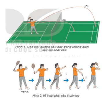 Giáo án GDTC 7 Kết nối tri thức Bài 1: Kĩ thuật phát cầu thuận tay