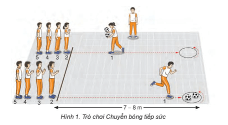 Giáo án GDTC 7 Kết nối tri thức Bài 1: Phối hợp trong giai đoạn xuất phát cao và chạy lao sau xuất phát