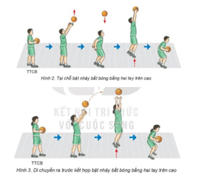 Giáo án GDTC 7 Kết nối tri thức Bài 2: Kĩ thuật chuyền và bắt bóng hai tay trước ngực bật đất