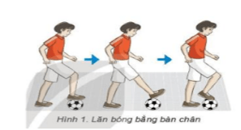 Giáo án GDTC 7 Kết nối tri thức Bài 2: Kĩ thuật dừng bóng lăn bằng mu giữa bàn chân