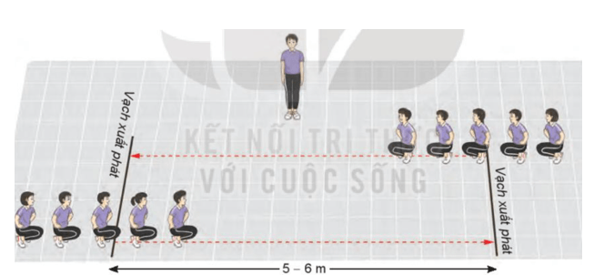 Giáo án GDTC 7 Kết nối tri thức Bài 2: Phối hợp trong giai đoạn xuất phát và tăng tốc độ sau xuất phát