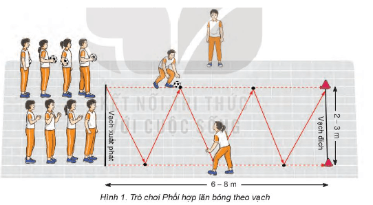 Giáo án GDTC 7 Kết nối tri thức Bài 3: Phối hợp các giai đoạn chạy cự li ngắn (60m)