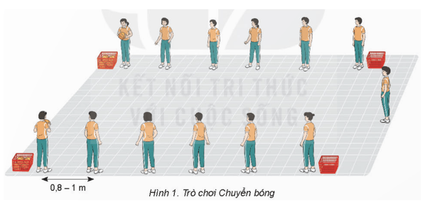 Giáo án GDTC 8 Kết nối tri thức Bài 3: Phối hợp các giai đoạn chạy cự li ngắn