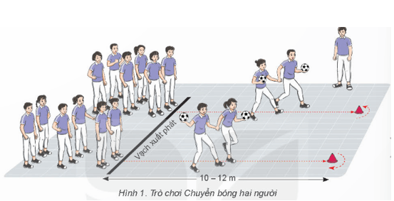 Giáo án GDTC 8 Kết nối tri thức Bài 3: Phối hợp các giai đoạn trong chạy cự li trung bình